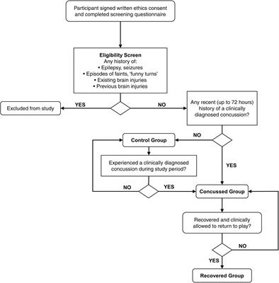 Steady-State Visual-Evoked Potentials as a Biomarker for Concussion: A Pilot Study
